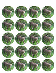 Awesome Cheetah - Edible Cake Topper, Cupcake Toppers, Strips