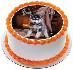 Husky Puppy - Edible Cake Topper, Cupcake Toppers, Strips