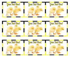 Small Chickens - Edible Cake Topper, Cupcake Toppers, Strips