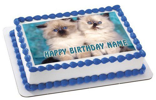 Kitten Cat Edible Birthday Cake Topper OR Cupcake Topper, Decor - Edible Prints On Cake (Edible Cake &Cupcake Topper)